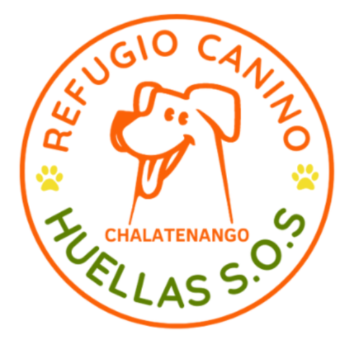 Adopta un perrito
